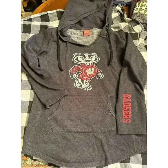 UNIVERSITY OF WISCONSIN HOODIE size M medium - Picture 1 of 4